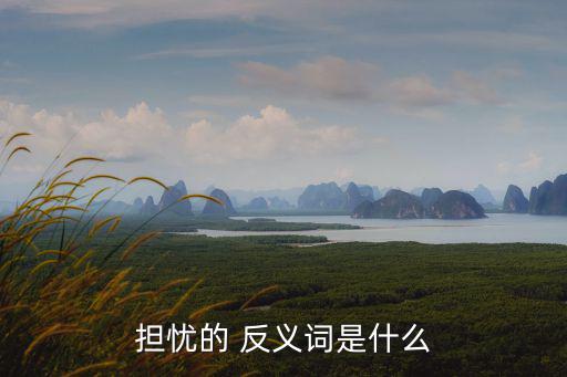 憂慮的反義詞,我沒有感染和不安反義詞是放心了