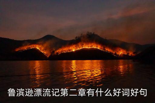 魯濱遜漂流記第二章有什么好詞好句