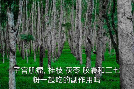 子宮肌瘤, 桂枝 茯苓 膠囊和三七粉一起吃的副作用嗎