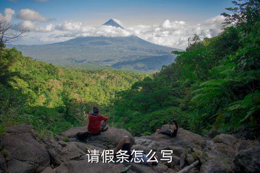請假條怎么寫