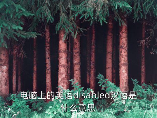 電腦上的英語disabled漢語是什么意思
