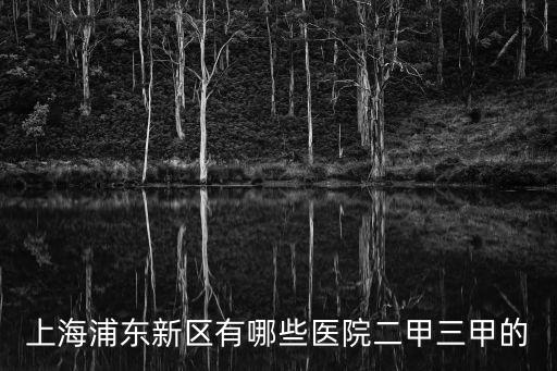 上海浦東新區(qū)有哪些醫(yī)院二甲三甲的