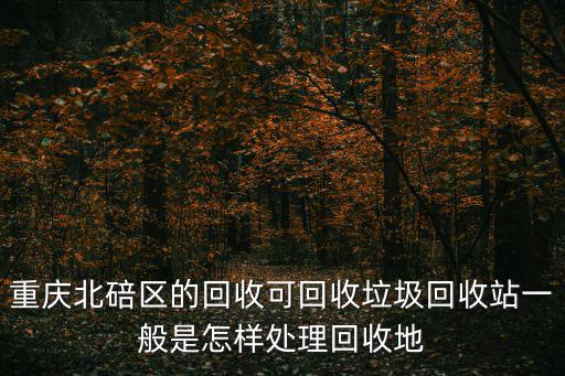 重慶市北碚區除渣，重慶北碚區的回收可回收垃圾回收站一般是怎樣處理回收地