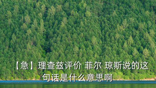 【急】理查茲評價 菲爾 瓊斯說的這句話是什么意思啊