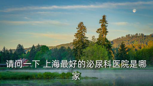 請問一下 上海最好的泌尿科醫院是哪家