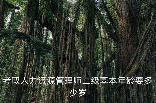 考取人力資源管理師二級基本年齡要多少歲