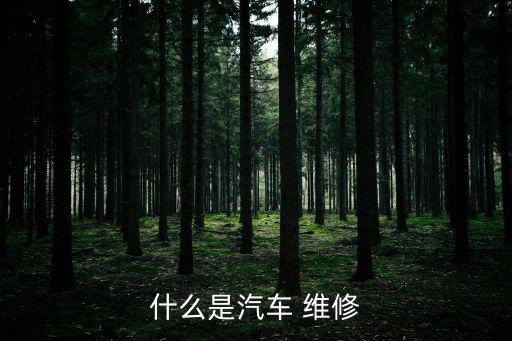 什么是汽車 維修