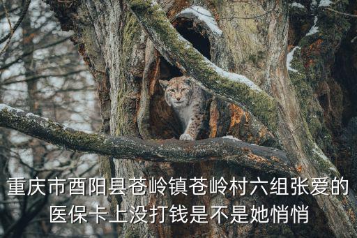 重慶市酉陽縣蒼嶺鎮蒼嶺村六組張愛的醫?？ㄉ蠜]打錢是不是她悄悄
