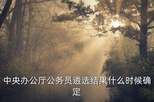 中央辦公廳公務員遴選結果什么時候確定
