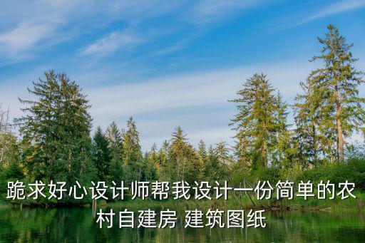 跪求好心設(shè)計師幫我設(shè)計一份簡單的農(nóng)村自建房 建筑圖紙