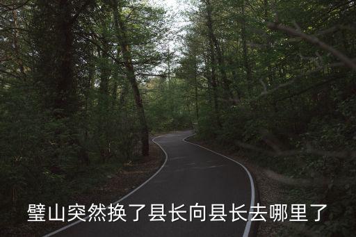 重慶市璧山區(qū)書記區(qū)縣長(zhǎng)名單，璧山區(qū)以前的縣委書記名字