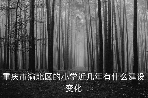 重慶市渝北區(qū)的小學(xué)近幾年有什么建設(shè)變化