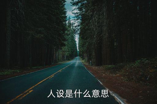 人設是什么意思