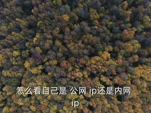 怎么看自己是 公網 ip還是內網 ip