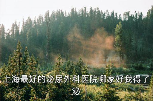 上海最好泌尿外科醫(yī)生，上海男科科專家最好是哪個(gè)