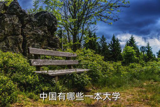 全國一本大學，中國有哪些一本大學
