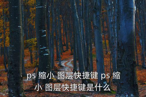  ps 縮小 圖層快捷鍵 ps 縮小 圖層快捷鍵是什么
