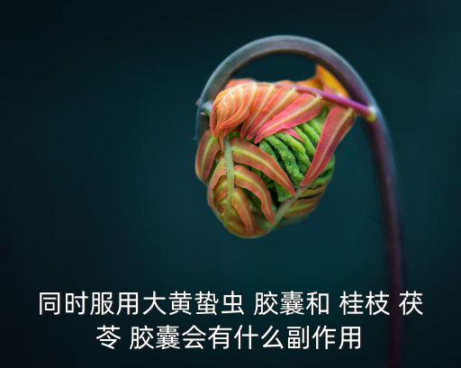 同時服用大黃蟄蟲 膠囊和 桂枝 茯苓 膠囊會有什么副作用