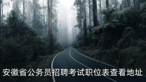 安徽省公務(wù)員招聘考試職位表查看地址