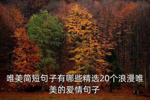 唯美簡(jiǎn)短句子有哪些精選20個(gè)浪漫唯美的愛情句子