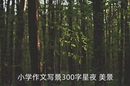 美景小學,第二集:唐朝繁花似錦夜空掛滿星星