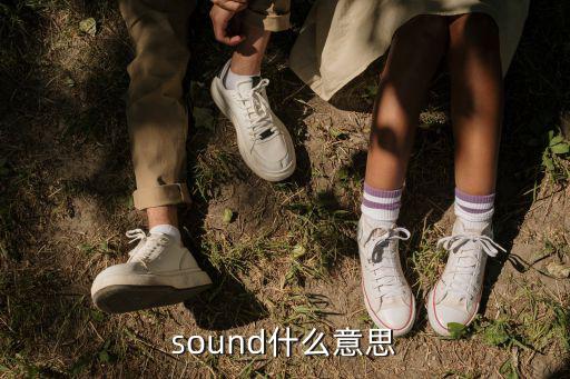 sound什么意思