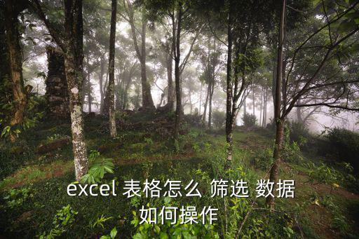  excel 表格怎么 篩選 數(shù)據(jù)如何操作