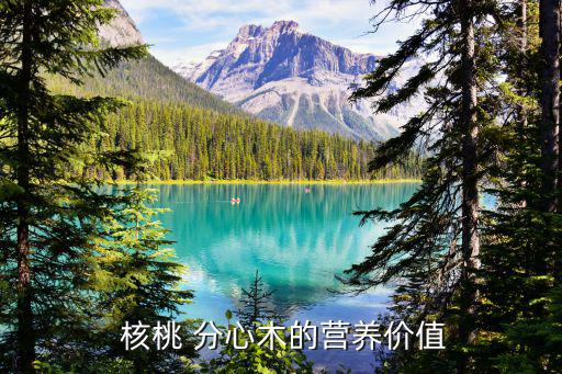  核桃 分心木的營養價值