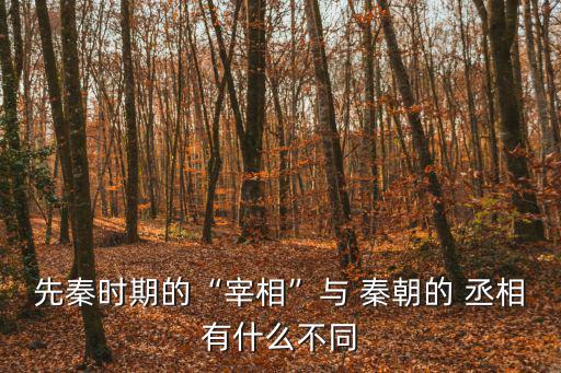 先秦時期的“宰相”與 秦朝的 丞相有什么不同