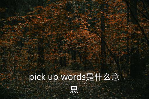 pick up words是什么意思