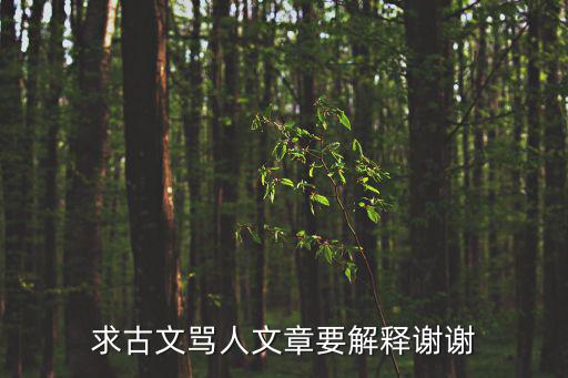 古文罵人，用文言文罵人