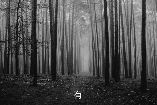 日本著名導(dǎo)演,電帝黑澤明是日本著名導(dǎo)演