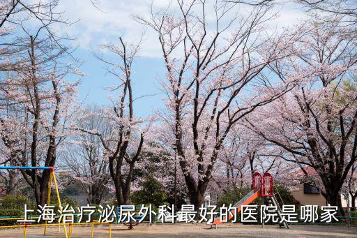 上海治療泌尿外科最好的醫院是哪家