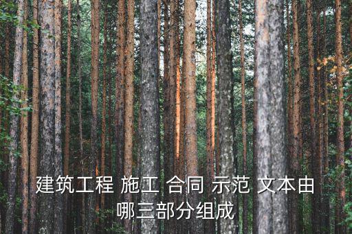 建筑工程 施工 合同 示范 文本由哪三部分組成