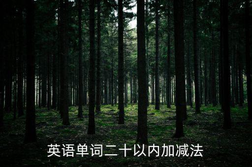 20以內連加連減，20以內的加減法不進位不退位的出20道題目不重復