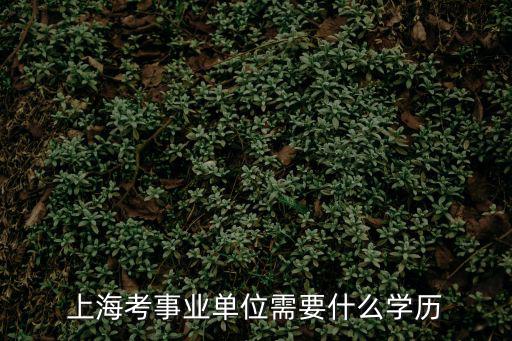 上?？际聵I(yè)單位需要什么學(xué)歷