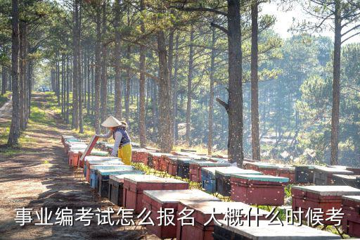 大數(shù)據(jù)中心事業(yè)單位怎樣報(bào)名，事業(yè)編考試怎么報(bào)名 大概什么時(shí)候考