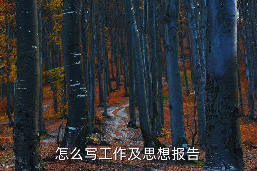 怎么寫工作及思想報告