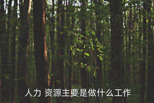  人力 資源主要是做什么工作