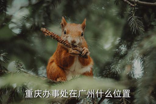 重慶市政府會遷往哪里，重慶市政府駐京辦事處在哪個區(qū)
