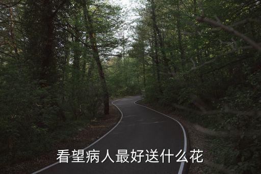 看望病人最好送什么花