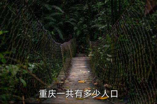 重慶一共有多少人口