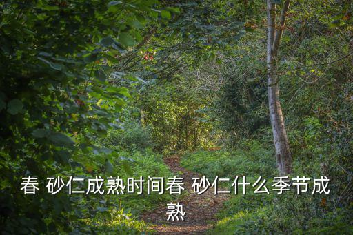 春 砂仁成熟時間春 砂仁什么季節成熟