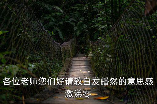 各位老師您們好請(qǐng)教白發(fā)皤然的意思感激涕零