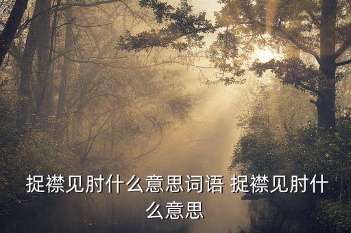  捉襟見肘什么意思詞語 捉襟見肘什么意思