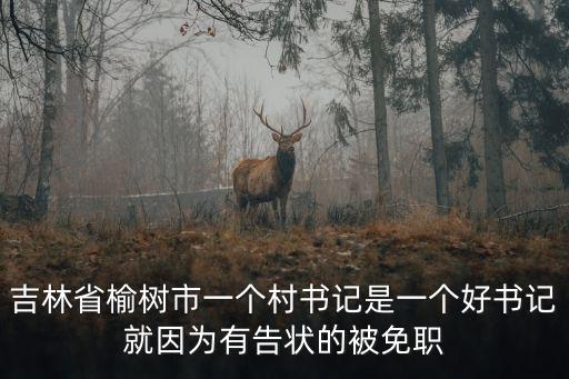 吉林省榆樹市一個村書記是一個好書記就因為有告狀的被免職