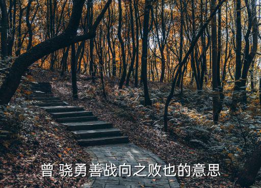 曾 驍勇善戰向之敗也的意思
