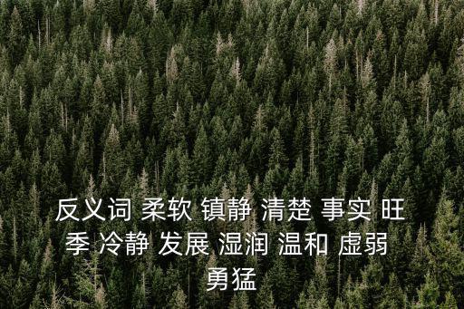 反義詞 柔軟 鎮靜 清楚 事實 旺季 冷靜 發展 濕潤 溫和 虛弱 勇猛