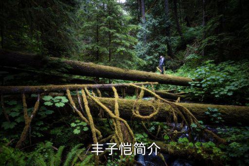 豐子愷的簡介,翻譯俄羅斯作家屠格涅夫和日本作家豐子愷