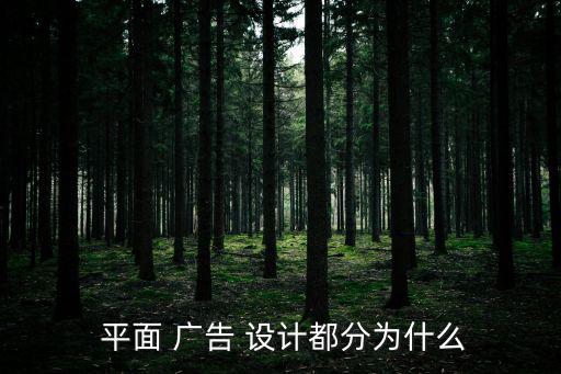  平面 廣告 設(shè)計都分為什么